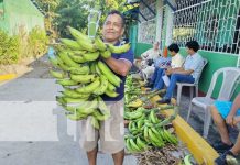 Realizan la feria de plátano en la Isla de Ometepe Foto: Realizan la feria de plátano en la Isla de Ometepe / TN8