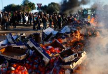 París se paraliza tras fuerte protesta de Agricultores franceses Foto: Bloqueo agrícola en París /cortesía