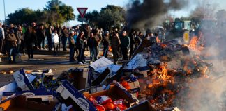 Foto: Bloqueo agrícola en París /cortesía