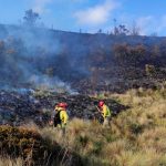 Foto: Devastador incendio forestal en Ecuador afecta la Reserva Ecológica El Ángel/Cortesía