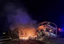 Foto: Devastador accidente deja 19 muertos y 22 heridos en México/Cortesía