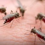 Foto: Alerta en Argentina /cortesía