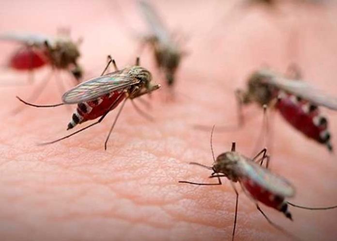 2 Foto: Alerta en Argentina /cortesía