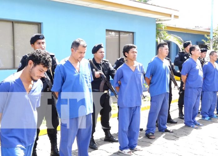 3 Resultados de la Policía Nacional en el enfrentamiento a la delincuencia