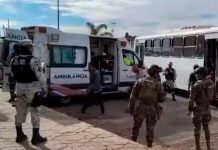 México: Rescatan a más de 700 migrantes en condiciones inhumanas Foto: México actúa contra el tráfico de personas /cortesía