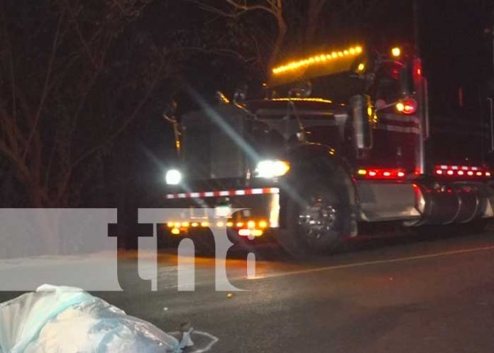 Foto: Persona de la tercera edad muere atropellada por vehículo /TN8