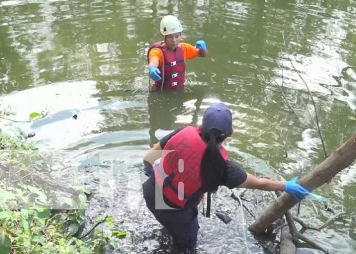 3 Foto: Un hombre fue encontrado ahogado en el río Estelí/Tn8