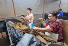 Se desarrollan con buen éxito la empresa Tambor y Pesa en Estelí