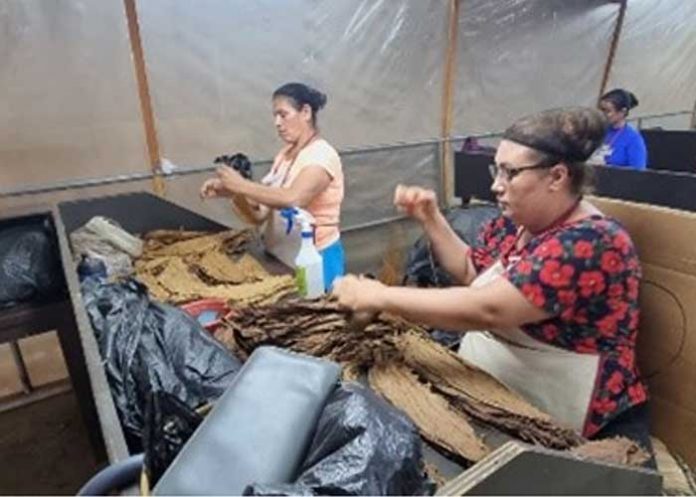 3 Se desarrollan con buen éxito la empresa Tambor y Pesa en Estelí