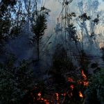 Foto: Colombia se encuentra en estado de “Desastre Nacional” por los incendios forestales/Cortesía