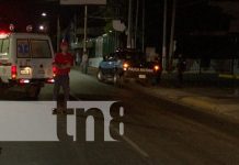 ¡Tragedia en Montoya! Conductor fugitivo arrolla a peatón y deja escena mortal Foto: ¡Tragedia en Montoya! Conductor fugitivo arrolla a peatón y deja escena mortal/TN8