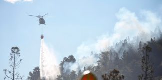 Foto: Tragedia ambiental en Argentina /cortesía