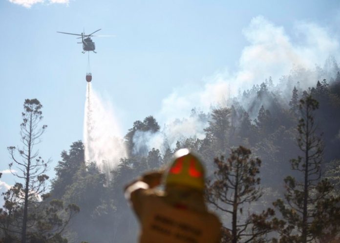 Foto: Tragedia ambiental en Argentina /cortesía
