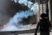 Masacre en Gaza y Cisjordania deja a más de 4,200 estudiantes asesinados Foto: Intensos ataques en Gaza y Cisjordania /cortesía