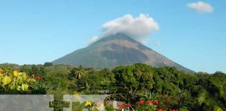 Foto: Una oferta tentadora en Ometepe /TN8