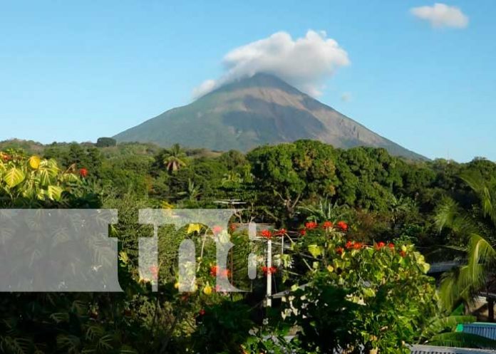 Foto: Una oferta tentadora en Ometepe /TN8