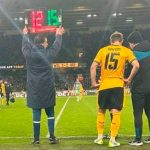 aficionado, wolves, fútbol,