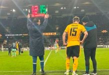 aficionado, wolves, fútbol,