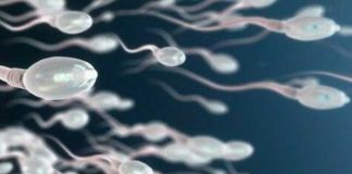 Autorizan obtener esperma de su esposo fallecido