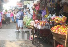 Pollo, huevo, cebolla y 9 productos más bajan precios en la canasta básica Foto: Informe de precios de la canasta básica / TN8