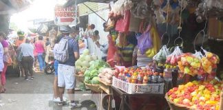 Foto: Informe de precios de la canasta básica / TN8