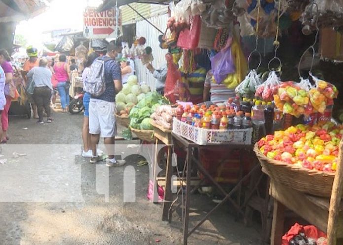 Foto: Informe de precios de la canasta básica / TN8