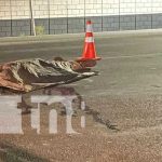 Trágico: Invasión mortal en Carretera Chinandega-Chichigalpa Foto: Mortal accidente en la carretera Chinandega-Chichigalpa / TN8