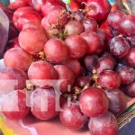 Estos son los alimentos saludables para las loncheras de tus hijos en su regreso a clases Mejorá el rendimiento de tus hijos en su regreso a clases