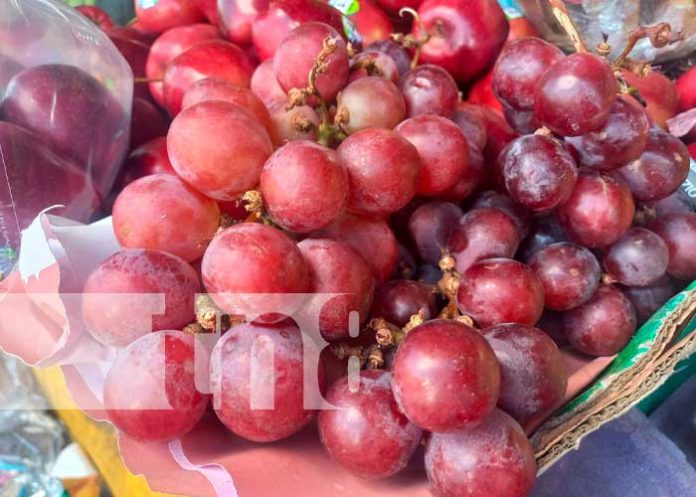 Mejorá el rendimiento de tus hijos en su regreso a clases