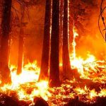 Suben a 21 los incendios forestales en Colombia