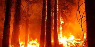 Suben a 21 los incendios forestales en Colombia