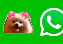 WhatsApp la saca del estadio: Estrena su ‘modo coquette’ y así puedes activarlo WhatsApp estrena su ‘modo coquette’