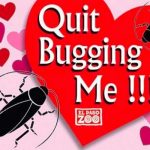 Escándalo: Zoológico permite que bautices a una cucaracha con el nombre de tu ex Zoológico permite que bautices a una cucaracha