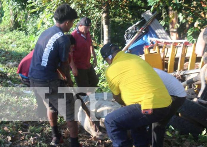 desta-1 Foto: Accidente con varias vacas muertes en Siuna / TN8