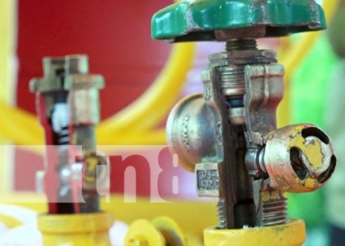 Foto: Anuncian Junta Directiva de ENIGAS