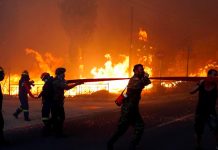 31 Incendios Forestales en Colombia desatan llamado de auxilio a la ONU Colombia reporta 31 incendios forestales activos