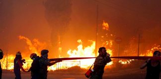 Colombia reporta 31 incendios forestales activos 