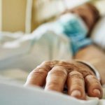 Hito histórico: Implante de hígado porcino filtra sangre humana por primera vez Utilizan hígado de cerdo para filtrar sangre humana