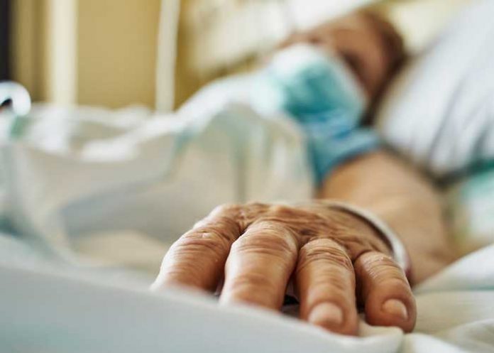 Utilizan hígado de cerdo para filtrar sangre humana