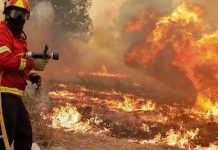 Tres incendios forestales azotan sin piedad Colombia y la capital Bogotá Incendios forestales azotan Colombia