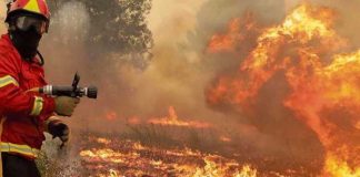 Incendios forestales azotan Colombia