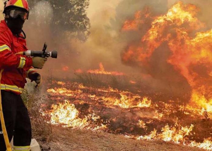 inec Incendios forestales azotan Colombia
