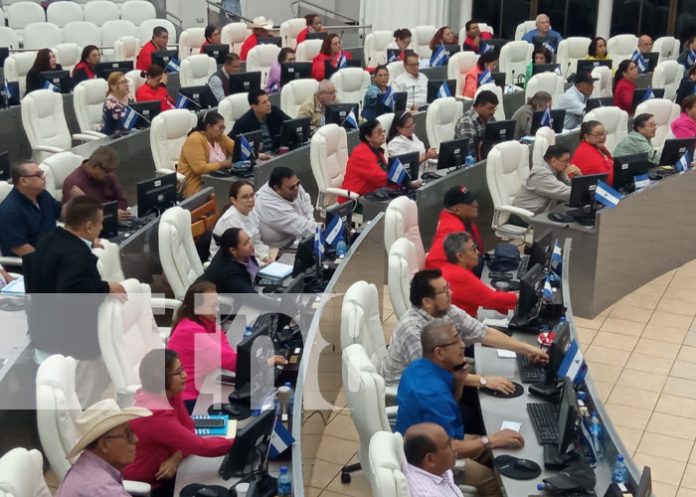 legis-12 Foto: Sesión parlamentaria en la Asamblea Nacional de Nicaragua / TN8