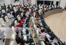 Reformas extienden períodos de jefaturas en Policía y Ejército de Nicaragua Foto: Sesión parlamentaria en la Asamblea Nacional de Nicaragua / TN8