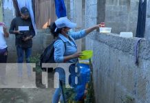 Duro contra los zancudos: Abatización en el barrio Recreo Norte, Managua Foto: Abatización en barrios de Managua / TN8