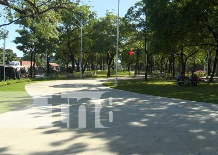 plaa-2 Foto: Avanza construcción de nuevo paseo en el corazón de Managua / TN8