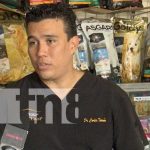 Veterinario nica aclara el tema de la «agresividad» de los Rottweiler Foto: Consulta a veterinario sobre agresividad de los Rottweiler / TN8