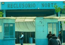 Hallan cabeza humana en hielera en México