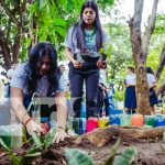 Promoción del medio ambiente con estudiantes de Managua Foto: Reforestación con estudiantes de Managua / TN8