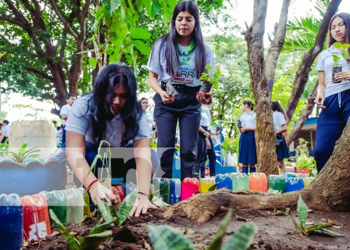 Foto: Reforestación con estudiantes de Managua / TN8